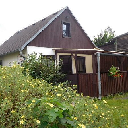 Apartman U Marusky Chřibská Værelse billede