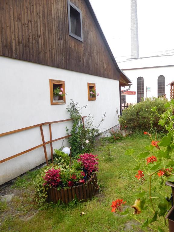 Apartman U Marusky Chřibská Værelse billede