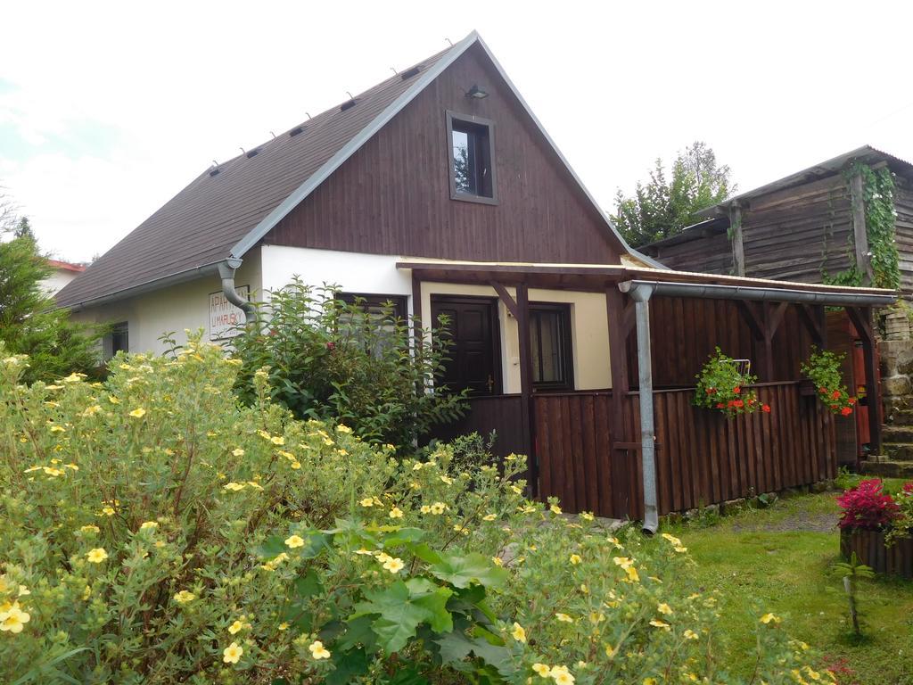 Apartman U Marusky Chřibská Værelse billede